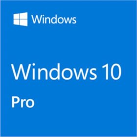 Microsoft Windows 10 Professional Licença OEM - ESD